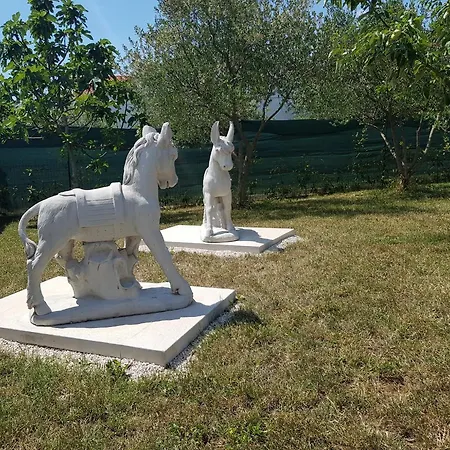 Loborika D&j Апартаменты Пула