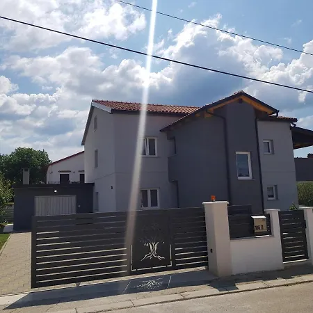 Loborika D&j Пула